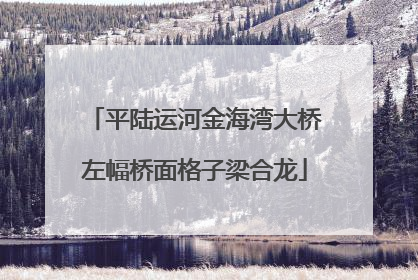 平陆运河金海湾大桥左幅桥面格子梁合龙