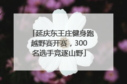 延庆东王庄健身跑越野赛开赛，300名选手竞逐山野