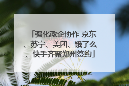 强化政企协作 京东、苏宁、美团、饿了么、快手齐聚郑州签约