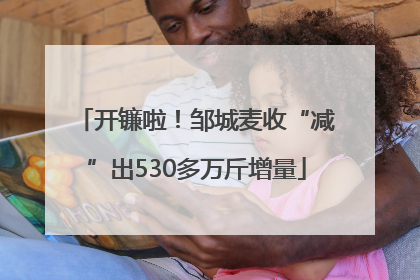 开镰啦！邹城麦收“减”出530多万斤增量