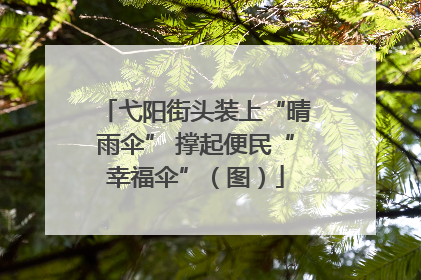 弋阳街头装上“晴雨伞” 撑起便民“幸福伞”（图）