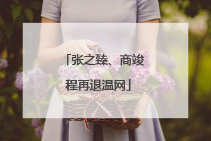 张之臻、商竣程再退温网