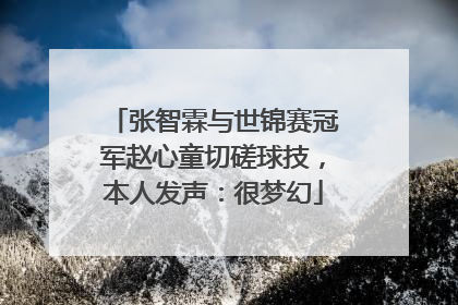 张智霖与世锦赛冠军赵心童切磋球技，本人发声：很梦幻