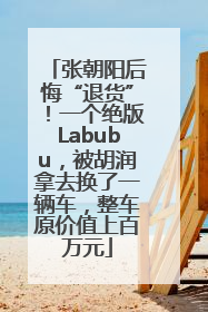 张朝阳后悔“退货”！一个绝版Labubu，被胡润拿去换了一辆车，整车原价值上百万元