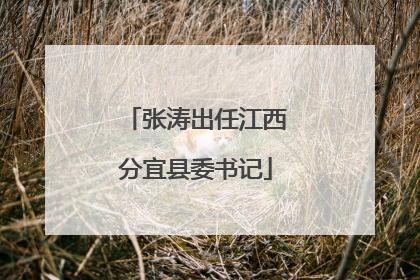 张涛出任江西分宜县委书记