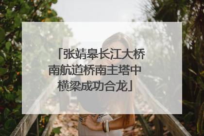 张靖皋长江大桥南航道桥南主塔中横梁成功合龙