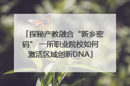 探秘产教融合“新乡密码” 一所职业院校如何激活区域创新DNA