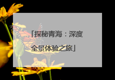 探秘青海：深度全景体验之旅