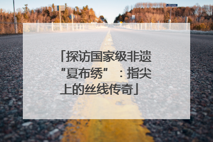 探访国家级非遗“夏布绣”：指尖上的丝线传奇
