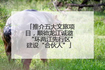 推介五大文旅项目，顺德龙江诚邀“环两江先行区”建设“合伙人”