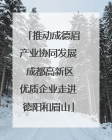 推动成德眉产业协同发展 成都高新区优质企业走进德阳和眉山