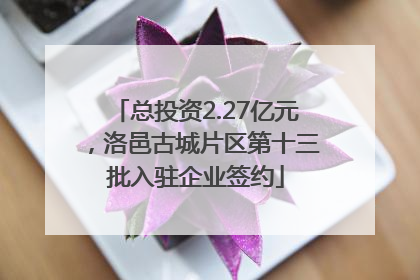 总投资2.27亿元，洛邑古城片区第十三批入驻企业签约