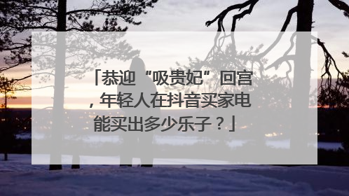 恭迎“吸贵妃”回宫，年轻人在抖音买家电能买出多少乐子？