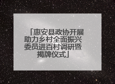 惠安县政协开展助力乡村全面振兴委员进百村调研暨揭牌仪式