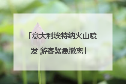 意大利埃特纳火山喷发 游客紧急撤离