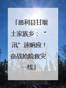慈利县甘堰土家族乡：“汛”速响应！奋战抢险救灾一线