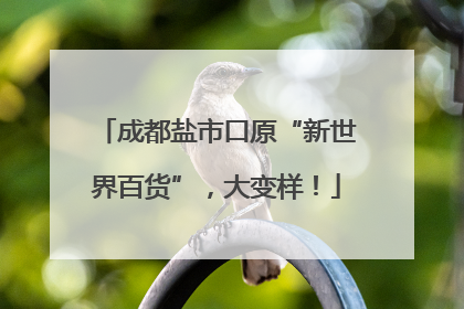 成都盐市口原“新世界百货”，大变样！