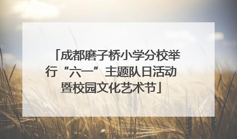 成都磨子桥小学分校举行“六一”主题队日活动暨校园文化艺术节
