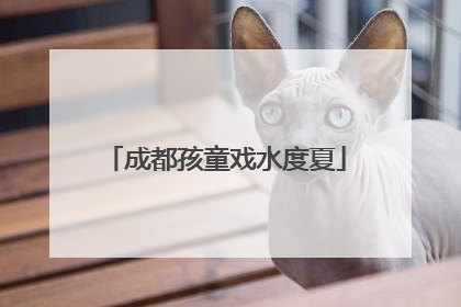成都孩童戏水度夏