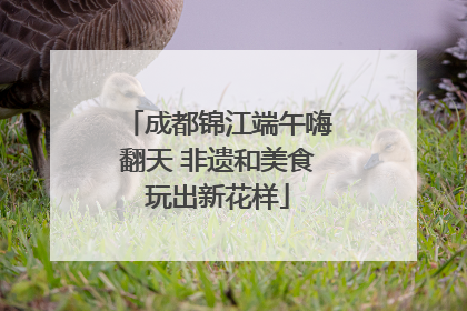 成都锦江端午嗨翻天 非遗和美食玩出新花样