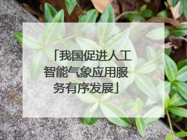 我国促进人工智能气象应用服务有序发展
