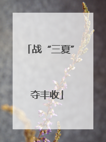 战“三夏” 夺丰收