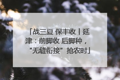 战三夏 保丰收丨延津：前脚收 后脚种，“无缝衔接”抢农时