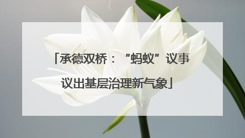 承德双桥：“蚂蚁”议事 议出基层治理新气象
