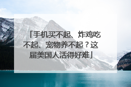 手机买不起、炸鸡吃不起、宠物养不起？这届美国人活得好难