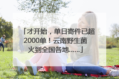 才开始，单日寄件已超2000单！云南野生菌火到全国各地……