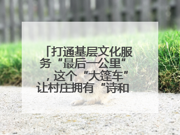 打通基层文化服务“最后一公里”，这个“大篷车”让村庄拥有“诗和远方”
