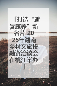 打造“避暑康养”新名片 2025年湖南乡村文旅投融资洽谈会在桃江举办