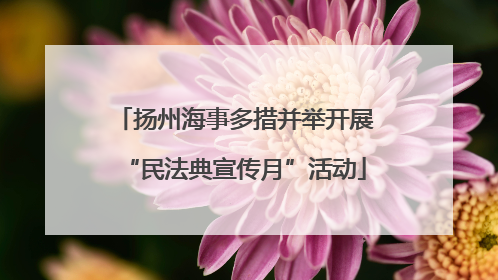 扬州海事多措并举开展“民法典宣传月”活动