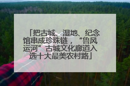 把古城、湿地、纪念馆串成珍珠链，“鲁风运河”古城文化廊道入选十大最美农村路