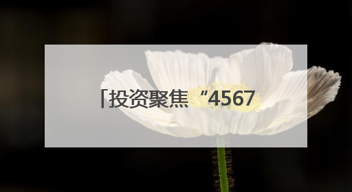 投资聚焦“4567”现代化产业体系，黑龙江产业换新景