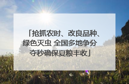 抢抓农时、改良品种、绿色灭虫 全国多地争分夺秒确保夏粮丰收