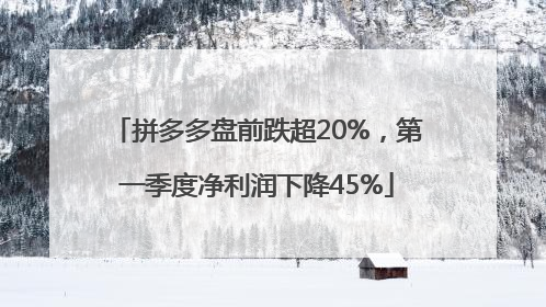 拼多多盘前跌超20%，第一季度净利润下降45%
