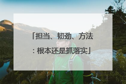 担当、韧劲、方法：根本还是抓落实