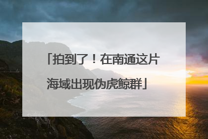 拍到了！在南通这片海域出现伪虎鲸群