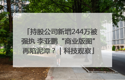 持股公司新增244万被强执 李亚鹏“商业版图”再陷泥潭?|科技观察