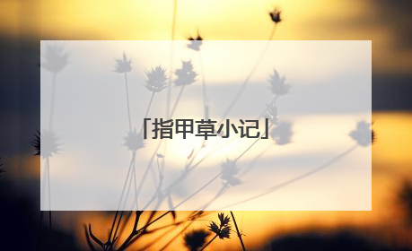 指甲草小记