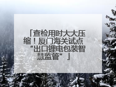 查检用时大大压缩！厦门海关试点“出口锂电包装智慧监管”