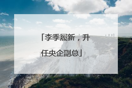 李季履新，升任央企副总