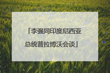 李强同印度尼西亚总统普拉博沃会谈