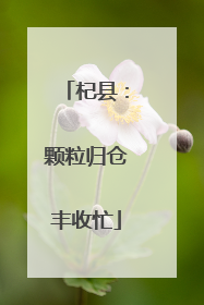 杞县：颗粒归仓丰收忙