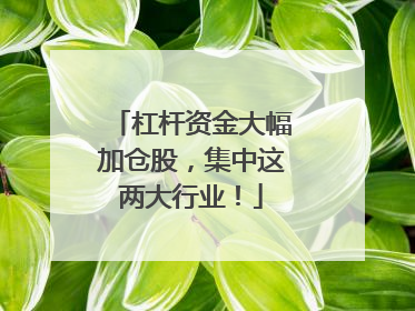 杠杆资金大幅加仓股，集中这两大行业！
