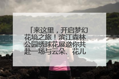 来这里，开启梦幻花境之旅！滨江森林公园绣球花展邀你共赴一场与云朵、花儿的浪漫之约
