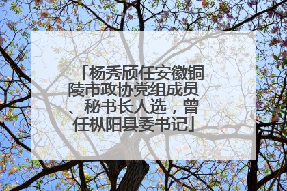 杨秀颀任安徽铜陵市政协党组成员、秘书长人选，曾任枞阳县委书记