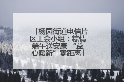杨园街道电信片区工会小组：粽情端午送安康 “益心暖新”零距离