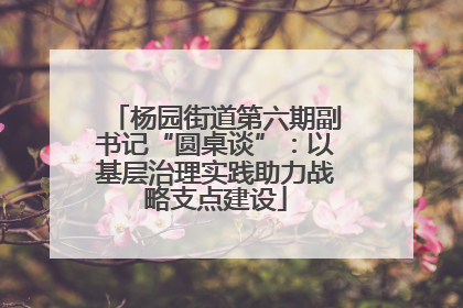 杨园街道第六期副书记“圆桌谈”：以基层治理实践助力战略支点建设